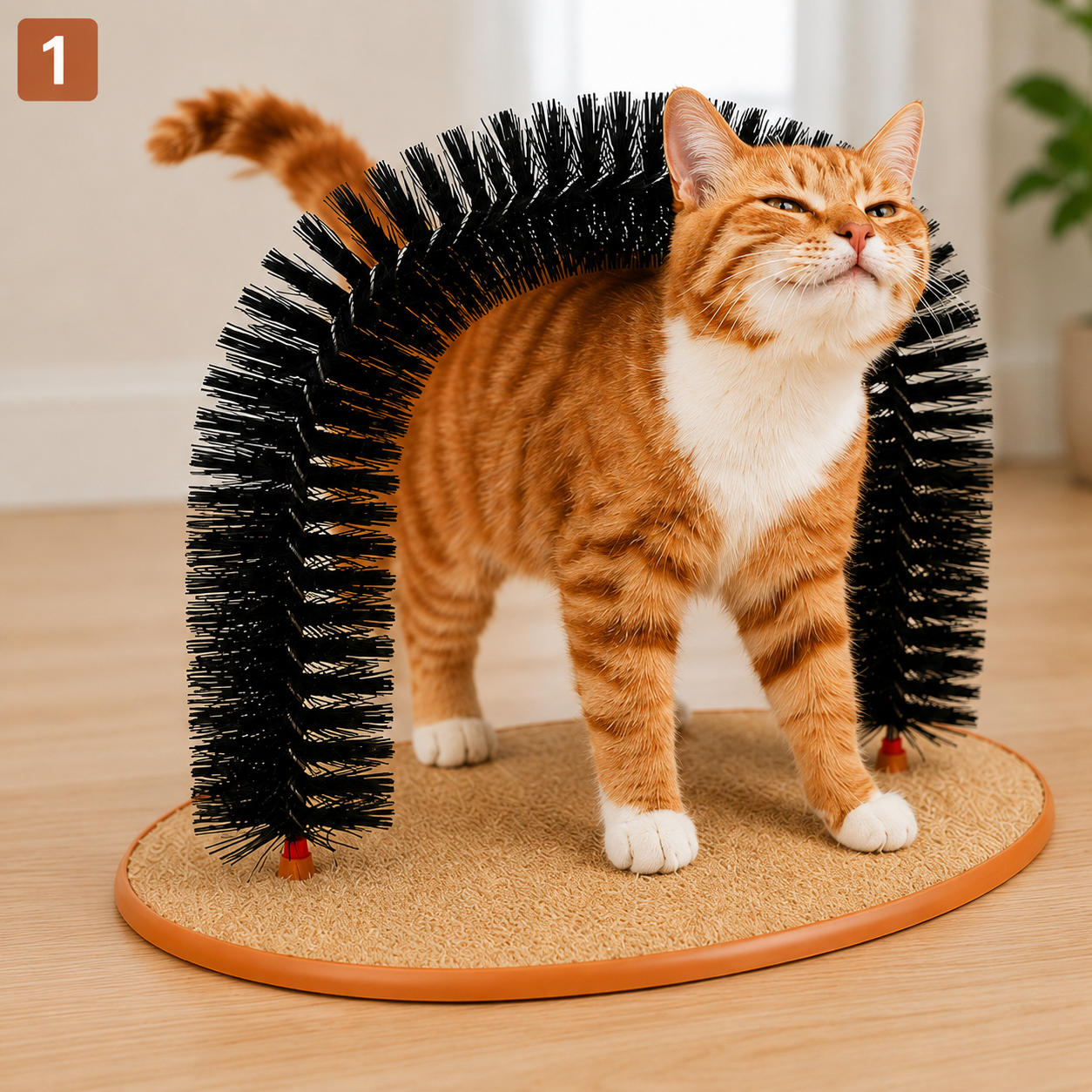 Cat Grooming and Massage Arch with Scratcher