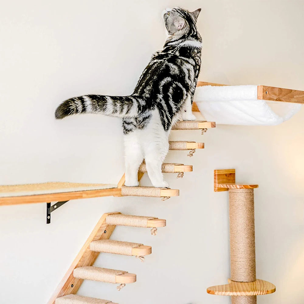 Modular Wall-Mounted Cat Playground with Hammock and Scratching Post