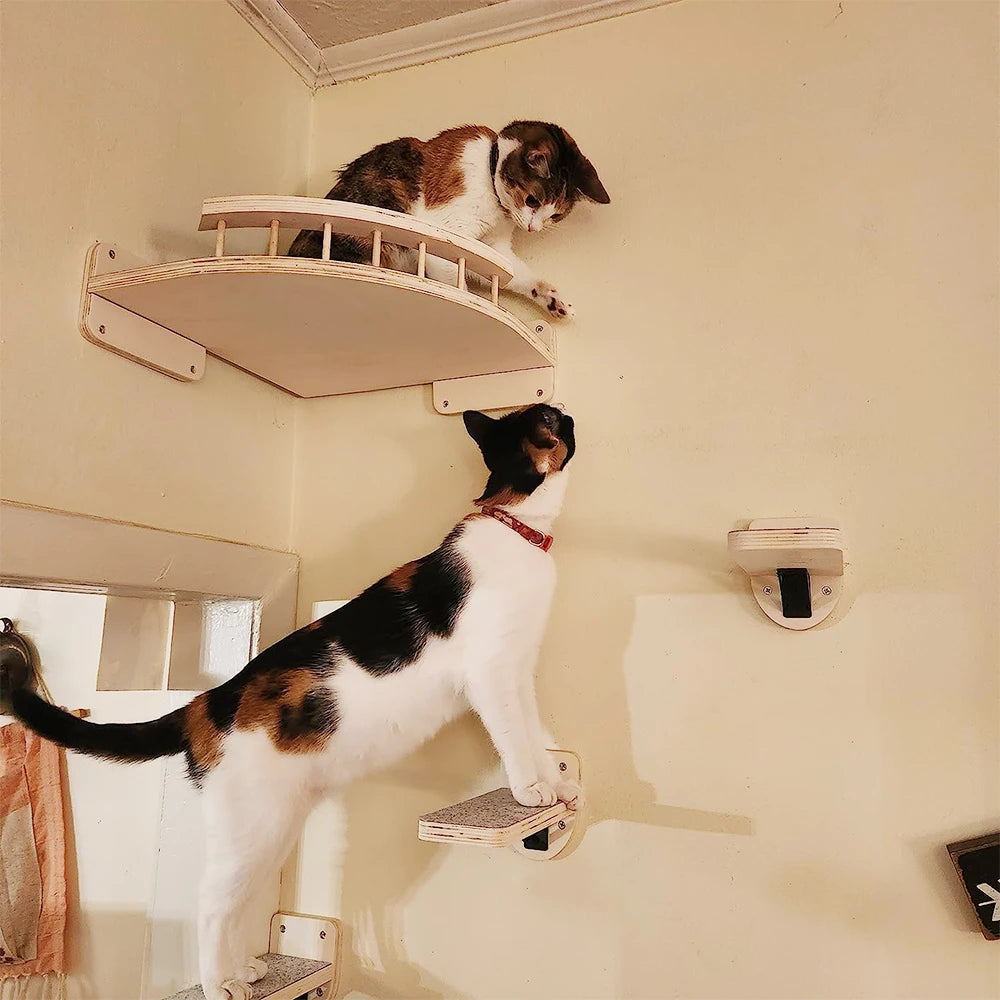 Modular Wall-Mounted Cat Playground with Hammock and Scratching Post